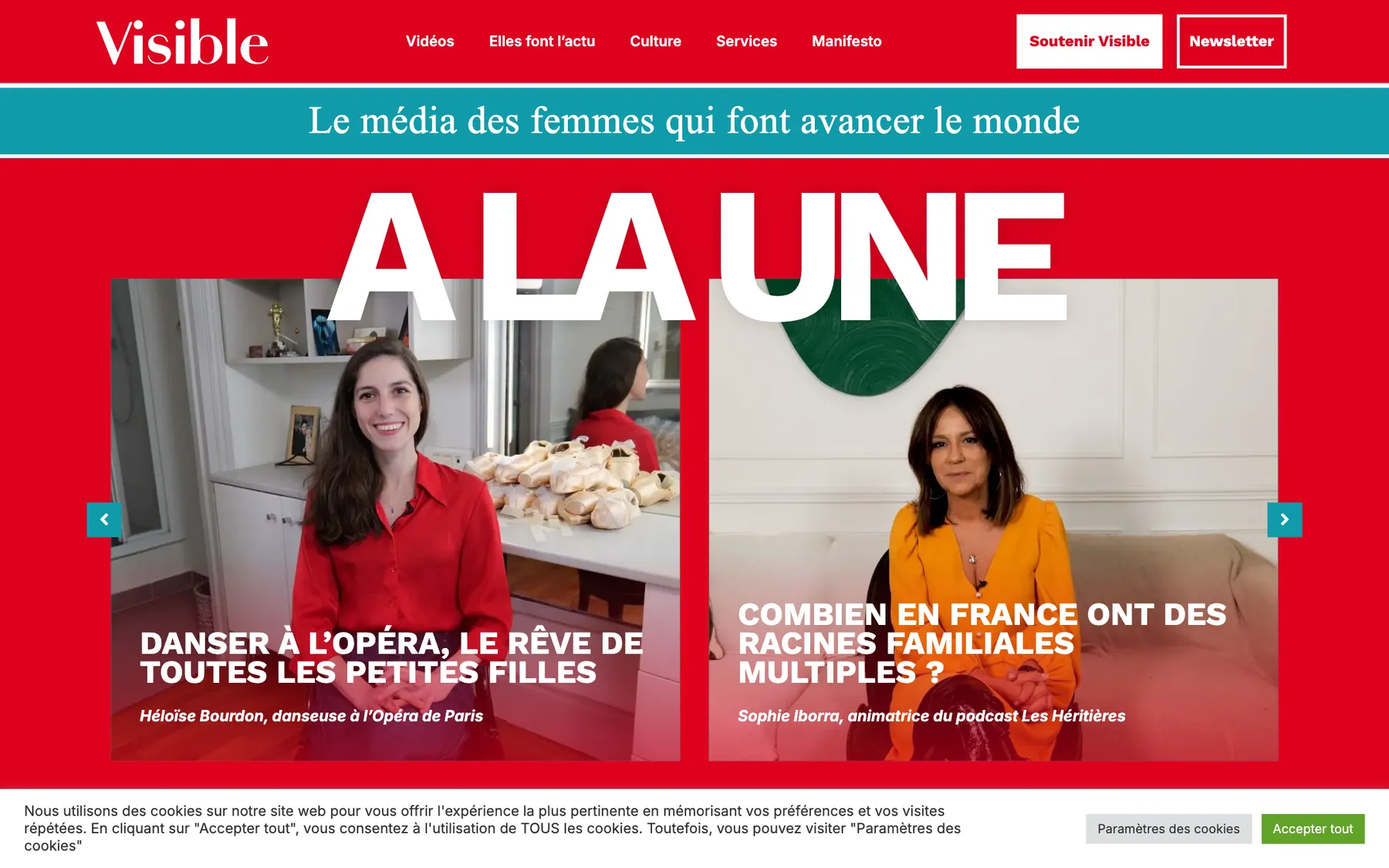 Desktop screenshot of the Visible website